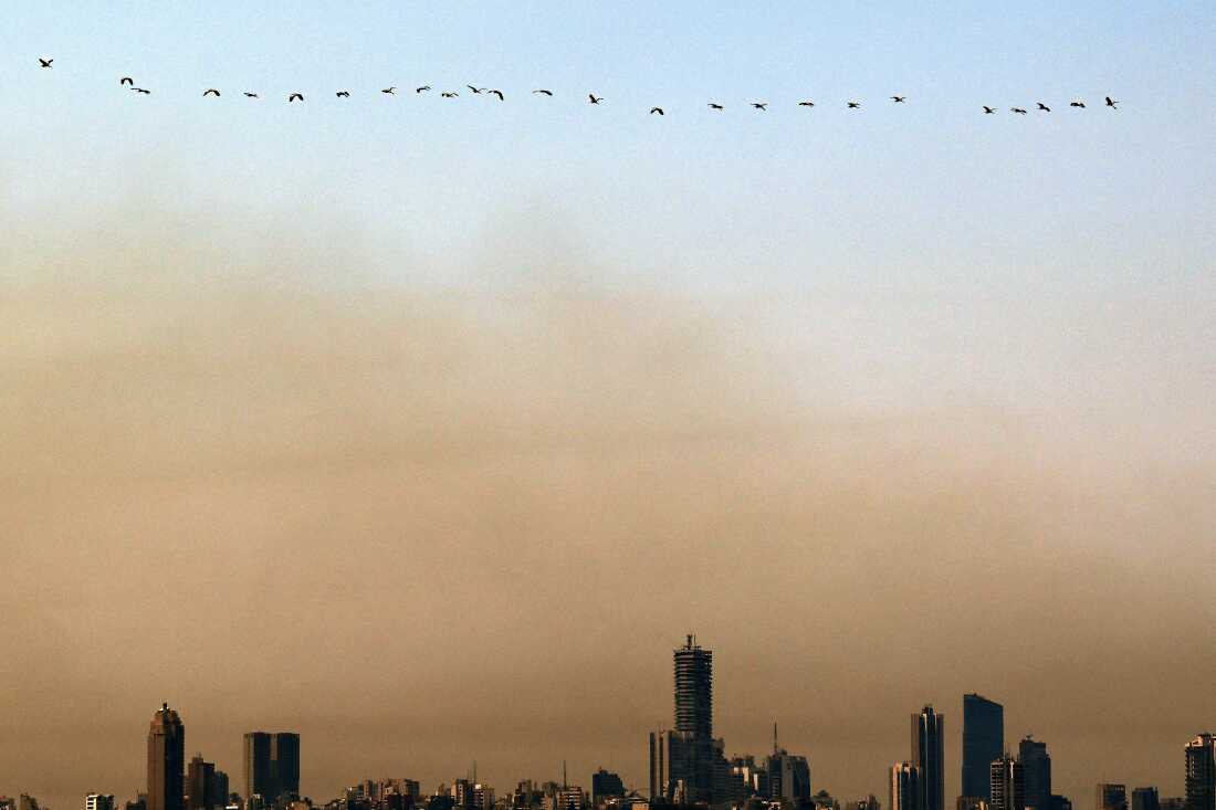 ლიბანში კიბოს შემთხვევებისა და გარდაცვალების რაოდენობა მსოფლიოში ყველაზე სწრაფად იზრდება